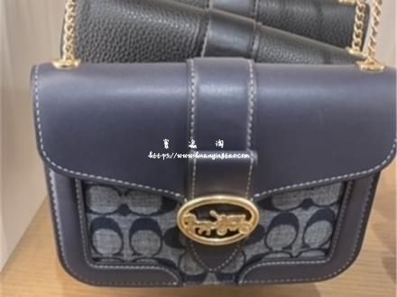 COACH 蔻驰包包 #8052