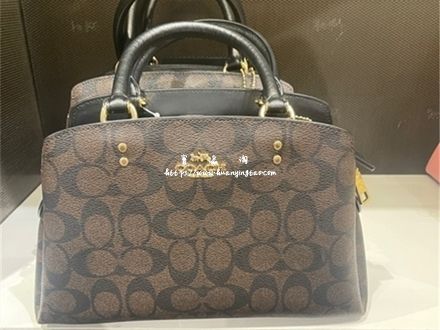 COACH 蔻驰包包 #8053